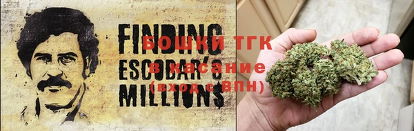 прущий лед Каменка